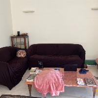 2 couch / sofa covers